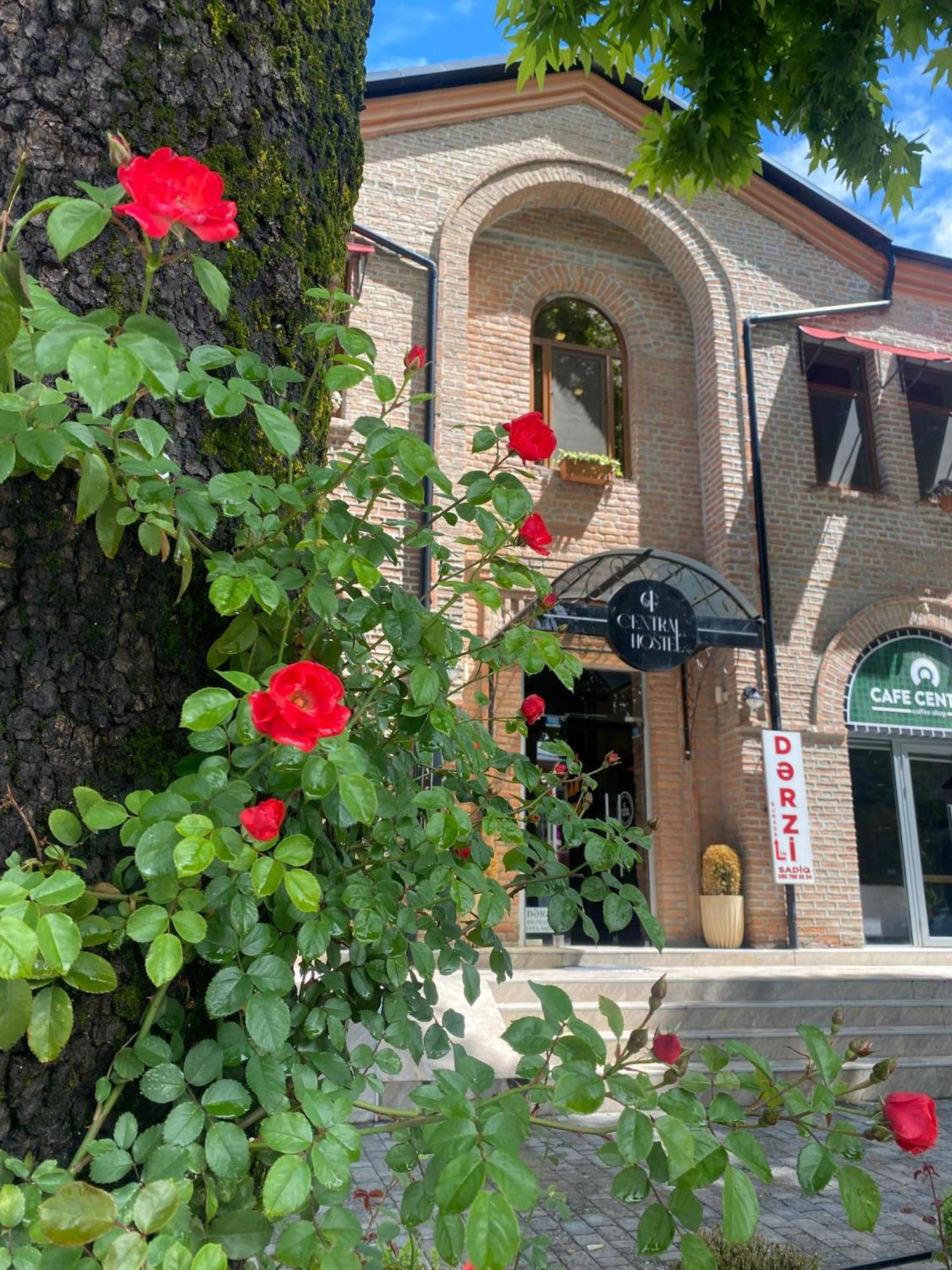 Central Hostel Шекі Екстер'єр фото